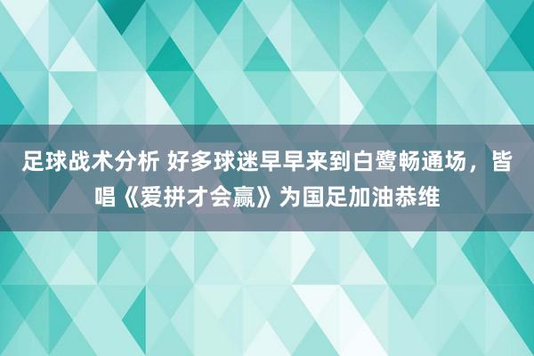 足球战术分析 好多球迷早早来到白鹭畅通场，皆唱《爱拼才会赢》为国足加油恭维