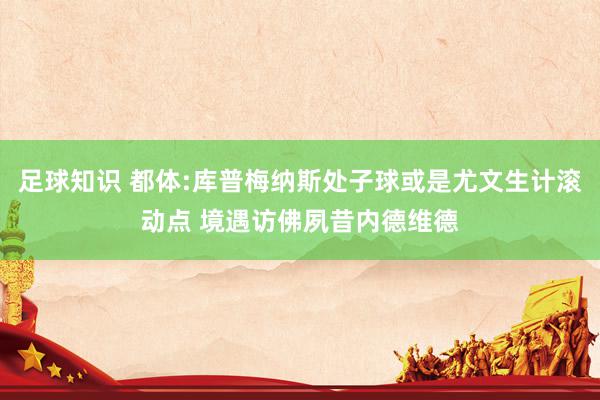 足球知识 都体:库普梅纳斯处子球或是尤文生计滚动点 境遇访佛夙昔内德维德