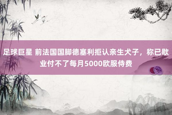 足球巨星 前法国国脚德塞利拒认亲生犬子，称已歇业付不了每月5000欧服侍费