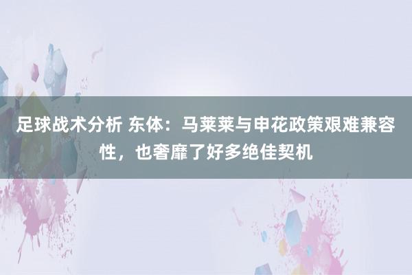 足球战术分析 东体：马莱莱与申花政策艰难兼容性，也奢靡了好多绝佳契机