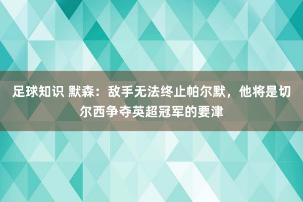 足球知识 默森：敌手无法终止帕尔默，他将是切尔西争夺英超冠军的要津