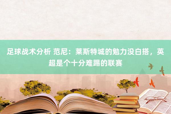 足球战术分析 范尼：莱斯特城的勉力没白搭，英超是个十分难踢的联赛